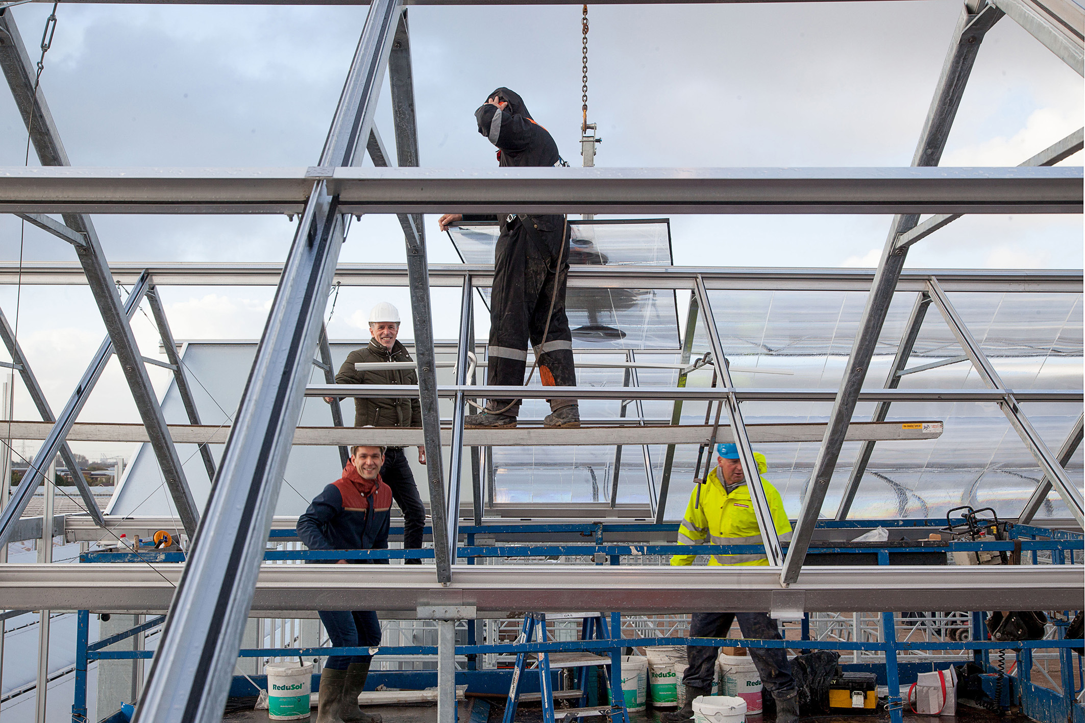 Daglichtkas Ter Laak Orchids