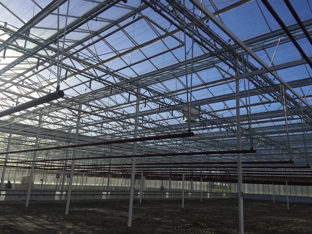 Een van de afdelingen op het nieuwe bedrijf van Schoneveld Breeding in Twello.