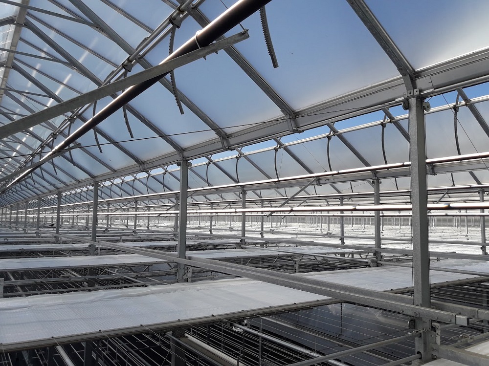 Productie van start in de meest duurzame en moderne kas ter wereld