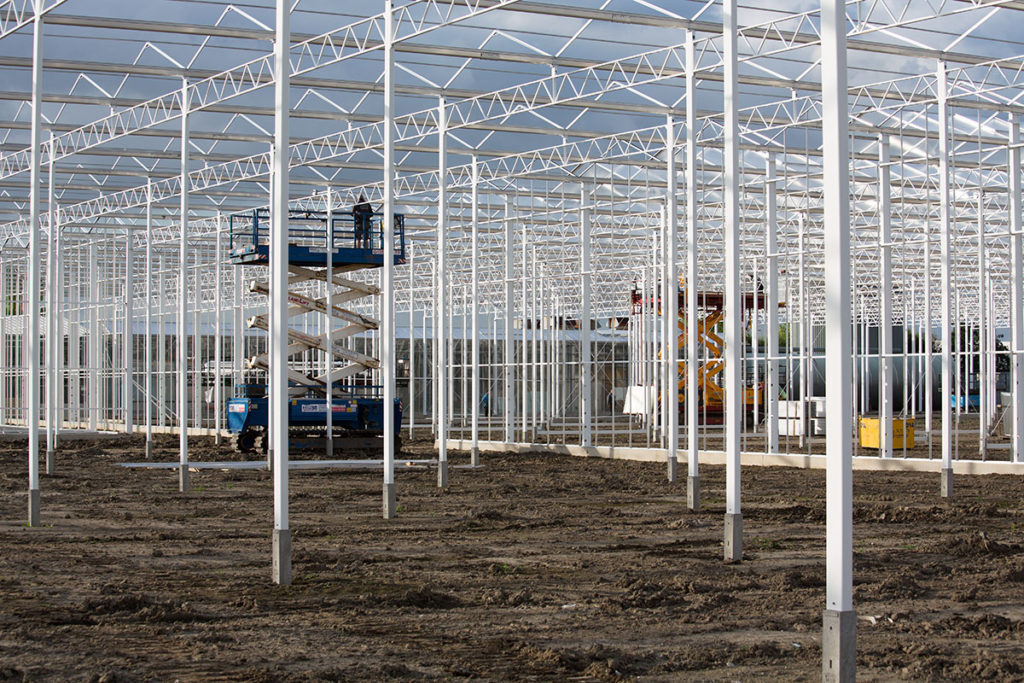 Door als een partner in plaats van opdrachtnemer op te treden, konden we dit complete project na 9 maanden al opleveren.