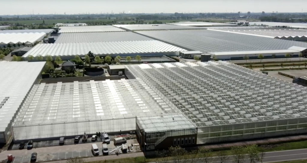 Vanuit de lucht is te zien dat aan de rechterkant de productiekas is gerealiseerd en links het ontvangstcentrum en het democentrum.