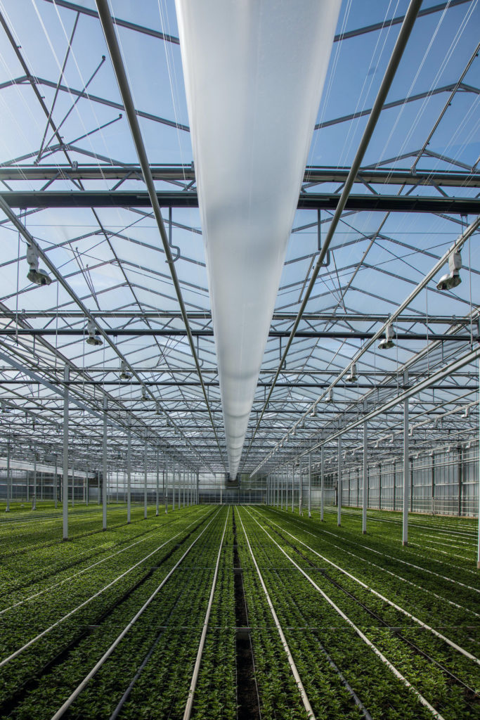 De geconditioneerde buitenlucht wordt met slurven in de kas verspreid.