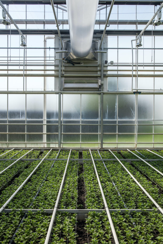 Technokas heeft een systeem voor Het Nieuwe Telen met luchtbehandelingskasten aan de gevel en slurven in de kas.