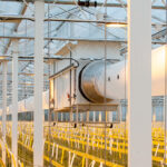 Technokas Belt Schenkeveld