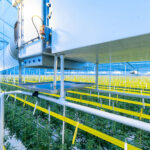 Technokas Belt Schenkeveld