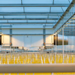 Technokas Belt Schenkeveld