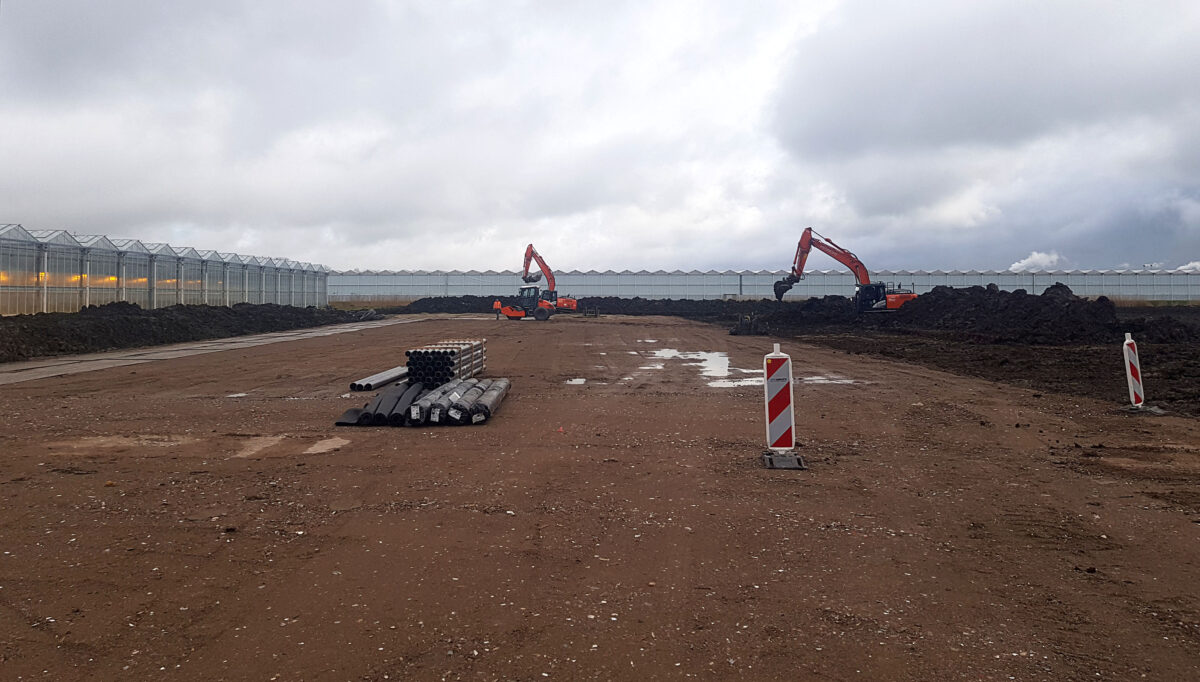 Technokas realiseert 10 hectare chrysantenkas voor UGRAND