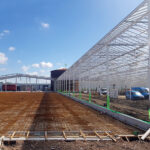 Technokas en partners houden nieuwbouw chrysantenkwekerij UGRAND op schema