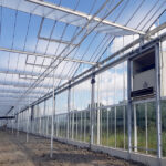 Technokas en partners houden nieuwbouw chrysantenkwekerij UGRAND op schema