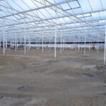 Technokas en partners houden nieuwbouw chrysantenkwekerij UGRAND op schema