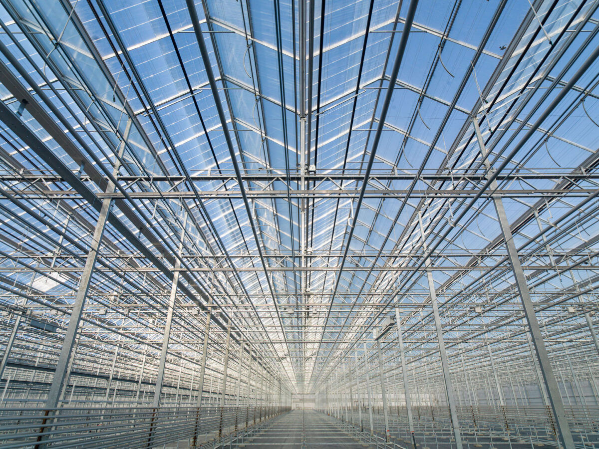 Zonnewarmte heeft veel potentie; subsidie voor Daglichtkas