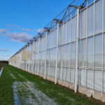 LBK bij Tomatenkwekerij DT van Noord