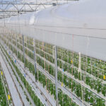 LBK en slurven bij Van Duijn De Jong