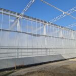 Uitbreiding van Demokas Syngenta Seeds