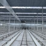 De ontvochtigde en eventueel voorverwarmde buitenlucht wordt via slurven de kas in geblazen.