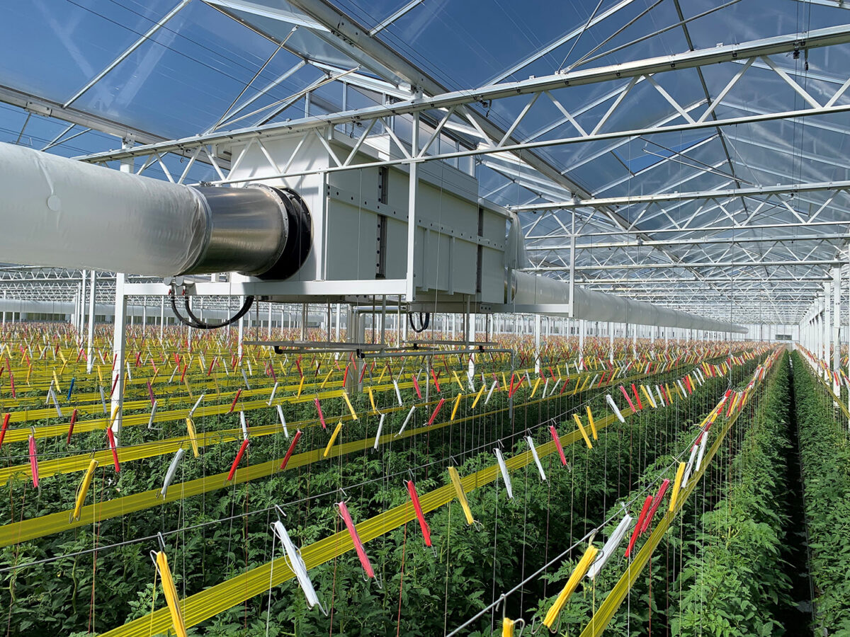 Ontvochtigen met luchtbehandelingskasten blijkt voor veel telers lucratief