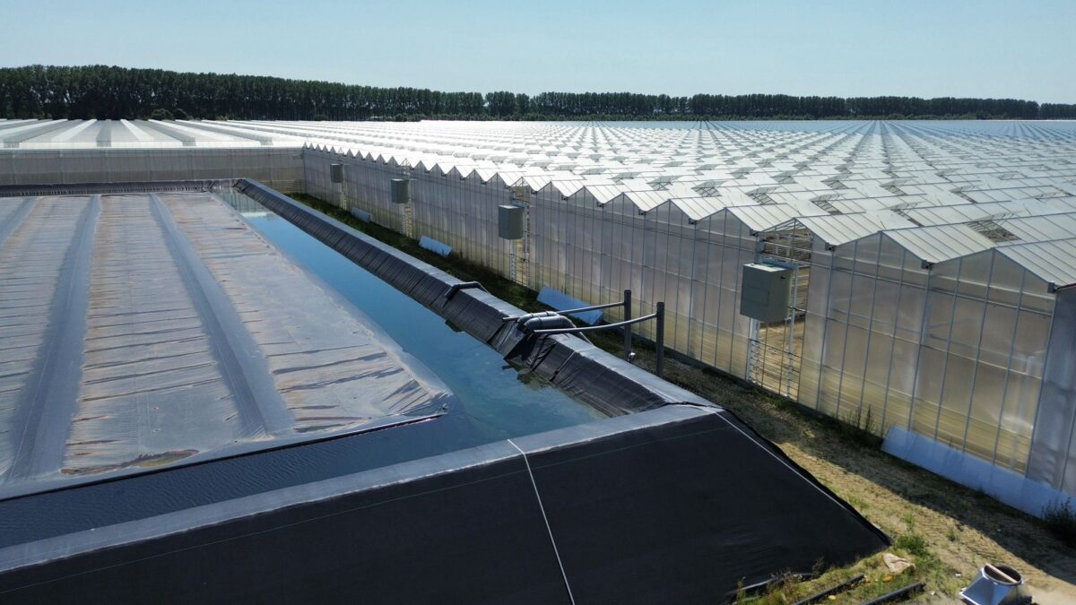 Grote tomatentelers kiezen steeds vaker voor ontvochtigen met LBK’s